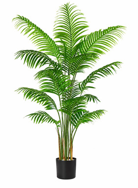 假绿植仿真散尾葵绿植高级轻奢室内家装好物客厅装饰摆件仿生植物