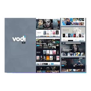 Vodi WP主题 Wordpress 影视节目视频电影网站模板