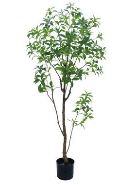 仿真绿植物马醉木吊钟落地装饰树