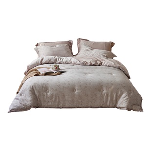 新疆棉兰精天丝被子可水洗春秋被天丝空调被可机洗夏凉被轻奢被芯