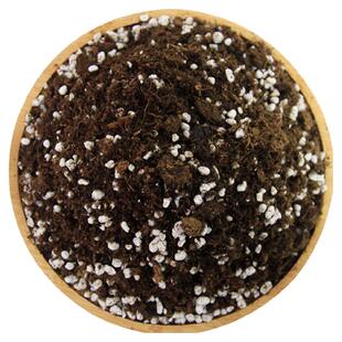 球迷花园通用型营养土泥炭土种植养花土盆栽多肉花卉种花土种菜土