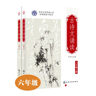 古诗文诵读 六年级 上册 下册  6-12岁儿童小升初语文古诗词课外读本 经典古诗词文言文欣赏诵读 北大附小学生人手一册古诗文读本