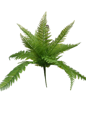 仿真背景墙婚庆蕨类植物波斯草