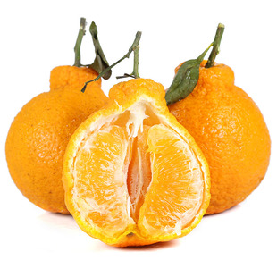 四川椪柑柑桔新鲜橘子当季果芦柑碰柑现摘果园采摘爆汁年货节大果