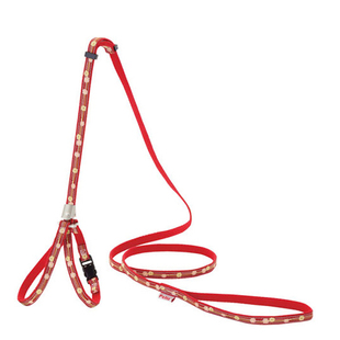 日本派地奥petio猫牵引绳 可调节大小胸背牵引脖圈 铃铛