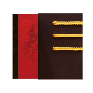 译文插图珍藏本世界文学名著 25种共39册(卡拉马佐夫兄弟 浮士德 安娜 巴黎圣母院 草叶集 月亮与六便士 白鲸等)上海译文出版社