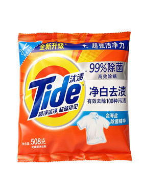 汰渍净白去渍洗衣粉508g