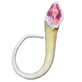 4斤整条新鲜现杀全带皮牛尾巴原切农家散养黄牛尾肉熬汤红烧食材