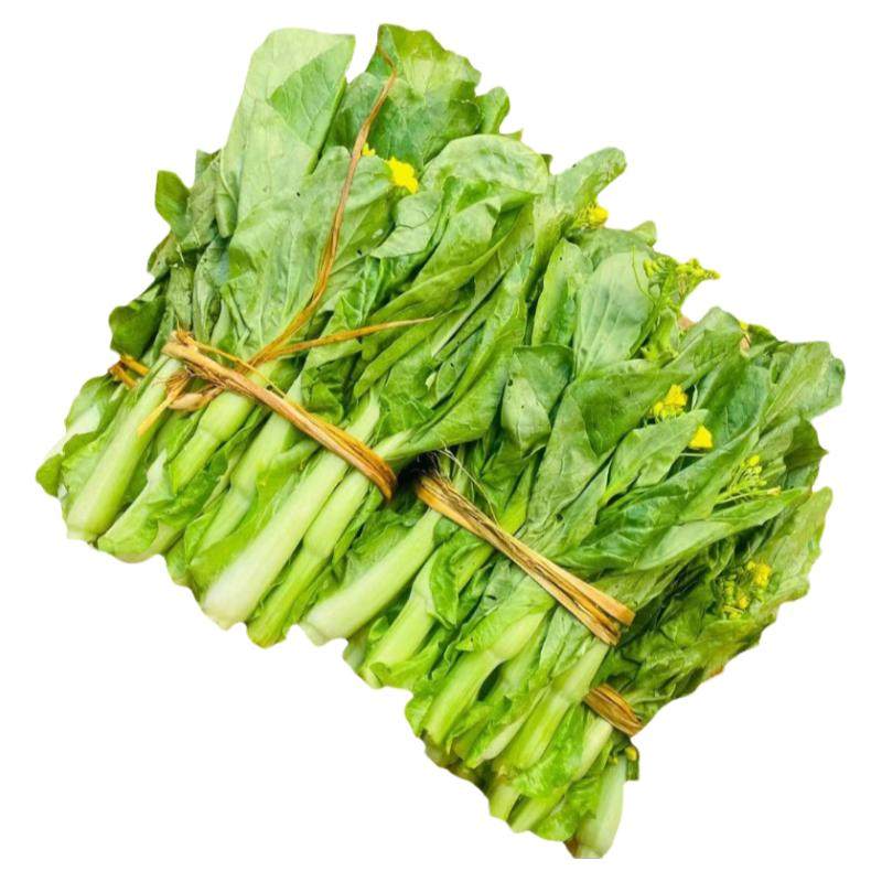 新鲜白菜苔农家露天自种新鲜蔬菜菜心火锅菜现摘发货顺丰中通