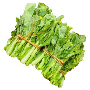 贵州白菜苔农家露天自种新鲜蔬菜菜心火锅菜现摘发货顺丰中通
