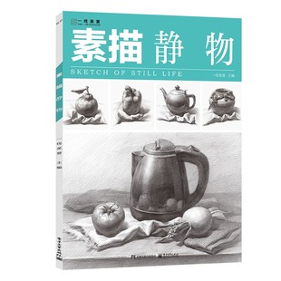 素描静物临摹书 石膏几何体素描临摹画册范本单体组合美术绘画书籍高中初学照片对画高考联考素描基础教程 静物素描书入门教材