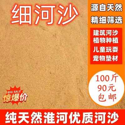 河沙细沙过筛河沙多肉种植种花沙子乌龟冬眠沙鱼缸沙建筑沙100斤