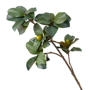 超大枝落地仿真白碗花玉兰叶枝绿植客厅高档逼真假花插花装饰花卉