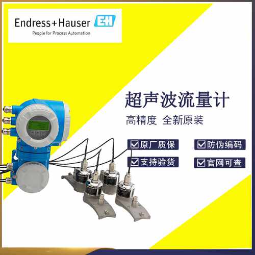 议价恩德斯豪斯EH超声波流量计92F 93TA1 9I4B 9G5B 9B2B9W4B 9P5