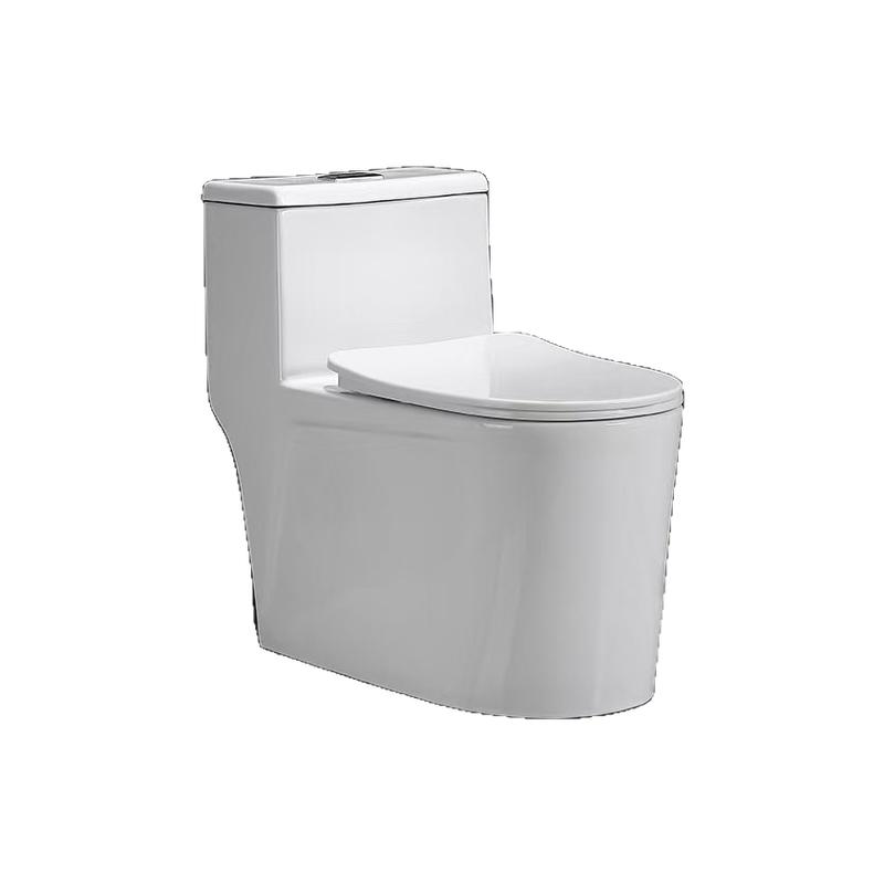 坐便器陶瓷大便器防臭卫生间抽水座便器大管道虹吸式坐厕