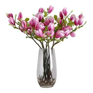 鲜枝玉兰鲜花枝条水培水养花卉客厅办公桌面盆栽紫玉兰遇水开花