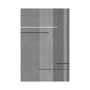 2024新款入户门地垫门内轻奢高级感进门门口防滑家用脚垫门外地毯