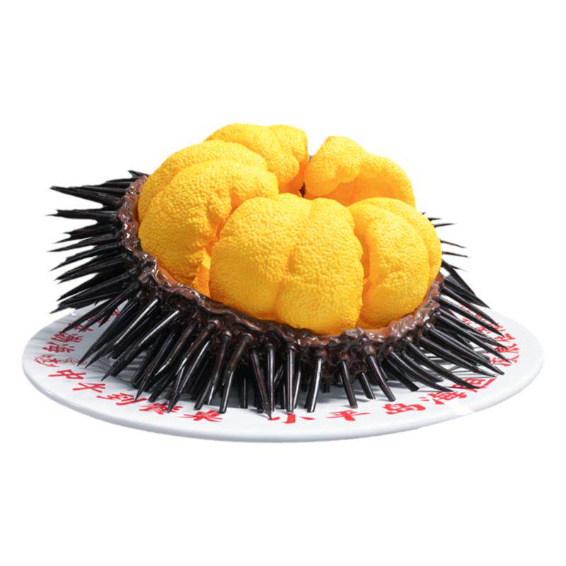 仿真马粪海胆紫胆海胆黄雕塑模型