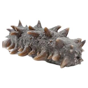 大连正宗纯野生底播半干大火候拉缸盐海参批发原料酒店婚宴水发参