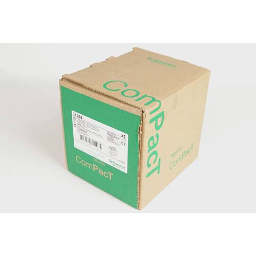 Schneider Electric INS250 3P 250 A 31106 Switch Disconnector