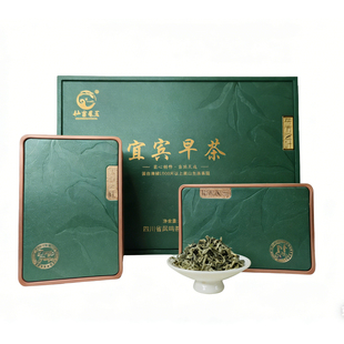 绿茶新茶仙雾凤茗高山茶250克宜宾早茶礼盒装送礼送长辈明前绿茶
