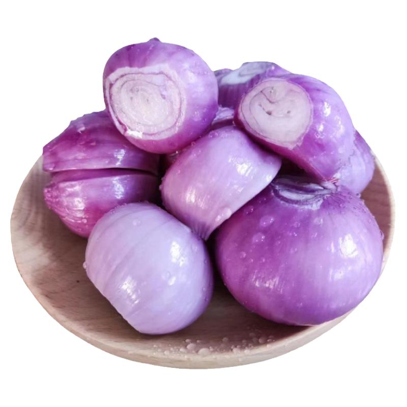 东北毛葱新鲜蔬菜红葱头小圆葱