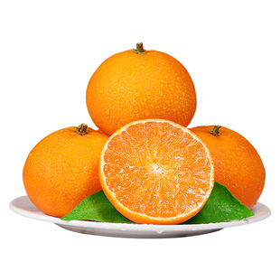 正宗红美人果冻橙当季水果柑橘现摘蜜桔手剥甜橙新鲜橙子大果整箱