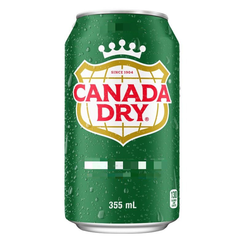 现货加拿大原瓶进口Canada dry Ginger Ale姜汁汽水干姜水苏打水