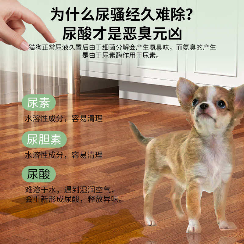 宠物除臭剂无味毒母婴安全环保猫咪狗狗去尿骚拖地除异味空气净化