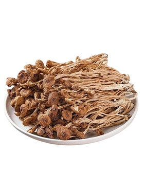 云南特产剪根茶树菇干货食材官方旗舰店新鲜煲汤农家菌菇500g火锅
