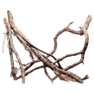 黄梨枝装饰树1.2米大鱼缸造景沉木骨架原木树根南美缸木头鹿角枝