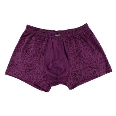 正品健将男士100%健将