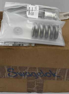 SWAGELOK RHPS BSHN4-02-9-EEP-C1 REGULATOR OVERHAUL MAINTENAN