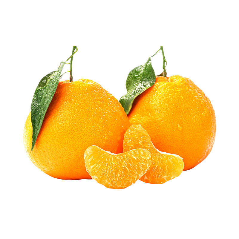东方甄选四川春见耙耙柑水果新鲜当季整箱时令生鲜顺丰5斤/8斤装