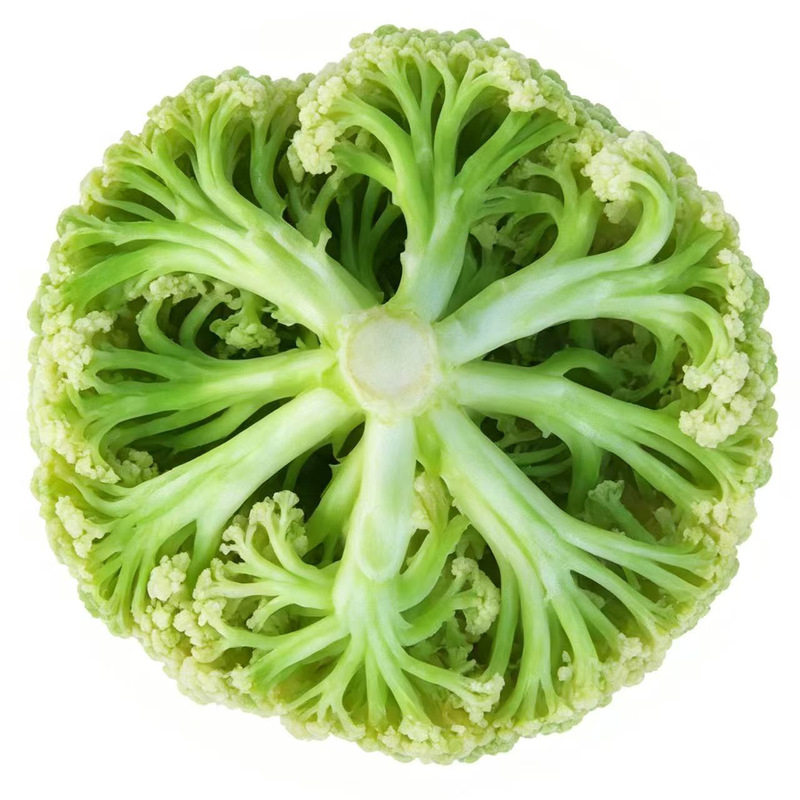 高端有机松花菜苗白花菜秧苗西兰花苗包菜苗牛心甘蓝苗秋冬阳台