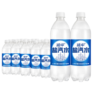 延中盐汽水600ml*20瓶解渴上海碳酸汽水皖包邮瓶装江浙沪皖包邮