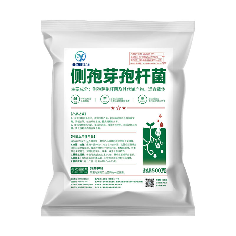 侧孢芽孢杆菌业盛旺生物净化水质