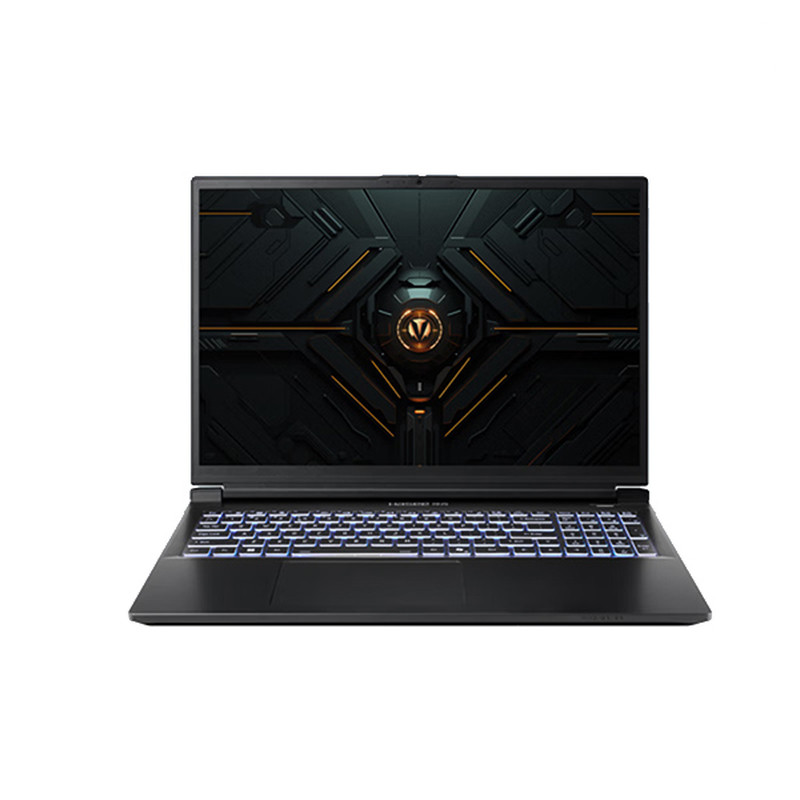 神舟（HASEE）战神T8 16英寸游戏本笔记本电脑(I5-14450HX 16G 512GB 165HZ)