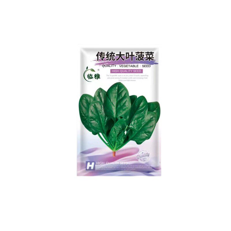 小叶菠菜籽种老品种波菜春夏季耐热趴地菠菜种子孑小青菜大全种籽
