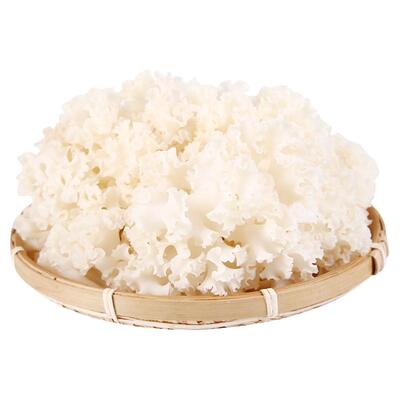 当季新鲜食用菌鲜绣球香菇菌