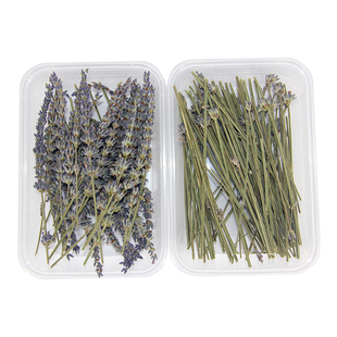 薰衣草干花DIY蜡片蜡烛材料香味花材幼儿园手工材料枝干枝条盒装