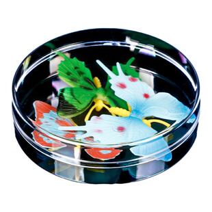 圆形塑料盒展示盒标本盒圆形收纳盒圆盒吧唧盒谷子盒粉扑收纳盒