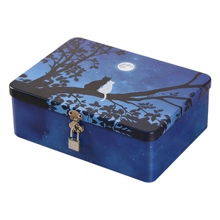 加厚马口铁盒子长方形铁盒钥匙存钱箱保险箱上锁密码箱证件小箱子