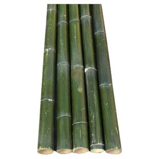 大毛竹子杆粗竹竿子婚庆婚礼竹子立柱支架定制竹搭架跳舞竹竿子