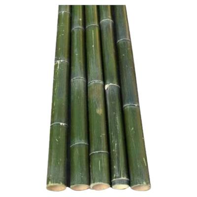 无大毛竹大毛竹跳舞竹竿婚庆用