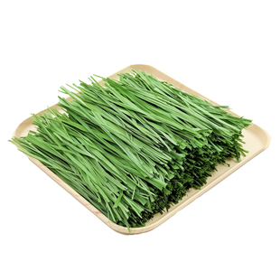 南提摩西草烘干草纯叶兔子草草段幼兔干草龙猫荷兰猪草料兔草牧草