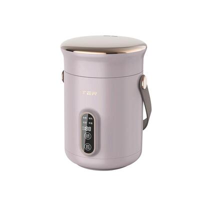 ter小电炖锅煮粥神器家用多功能