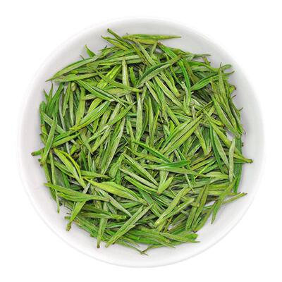 明前头采安吉白茶新茶抢鲜