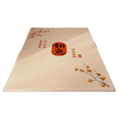 入户门地垫2025新款红色新年喜庆门垫玄关进门门口家用脚垫可定制