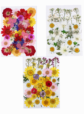 干花标本真花手工diy花事未了
